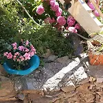 Elisabetta Casa de hóspedes 4*