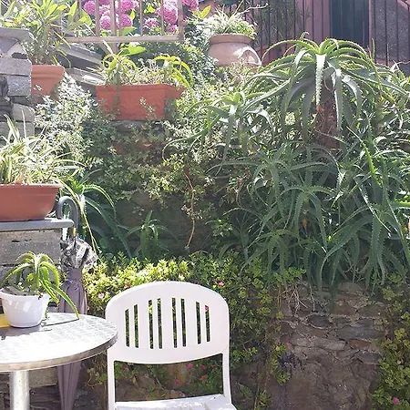 Elisabetta Πανσιόν Βερνάτσα