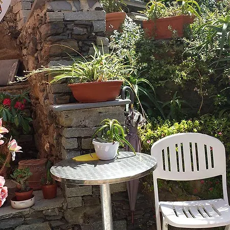 Elisabetta 3* Βερνάτσα