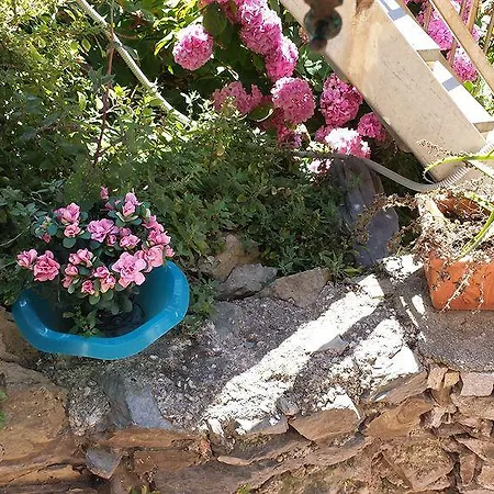 Elisabetta Πανσιόν 3*