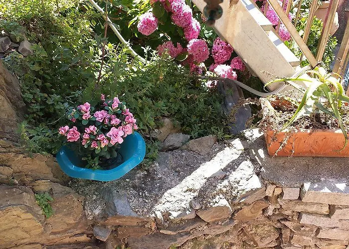 Elisabetta בית הארחה 3*