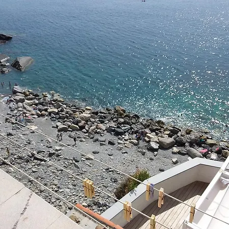 Elisabetta 베르나차