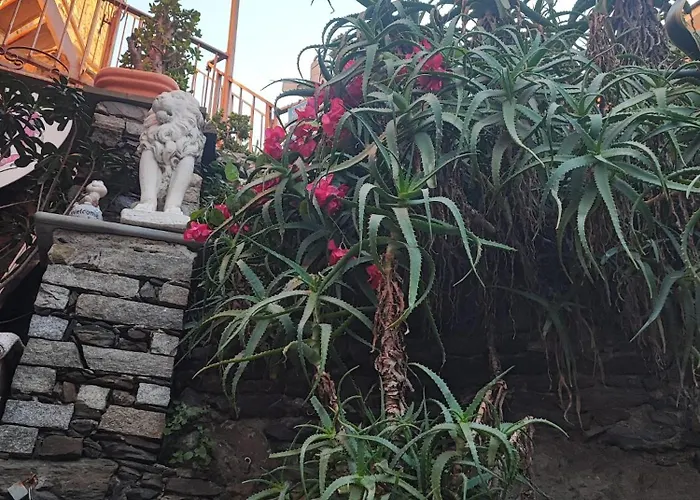 Elisabetta Vendégház Vernazza